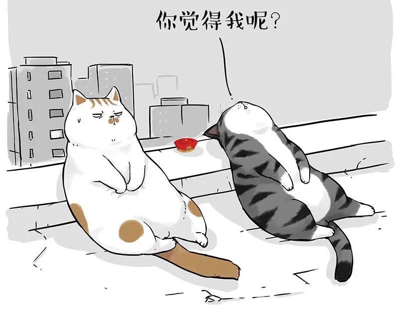 70.jpg