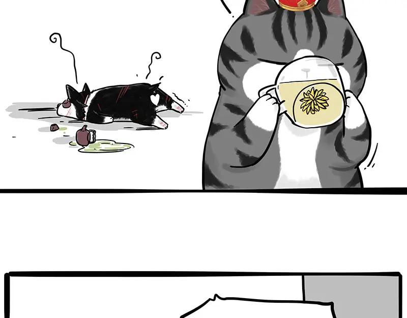63.jpg