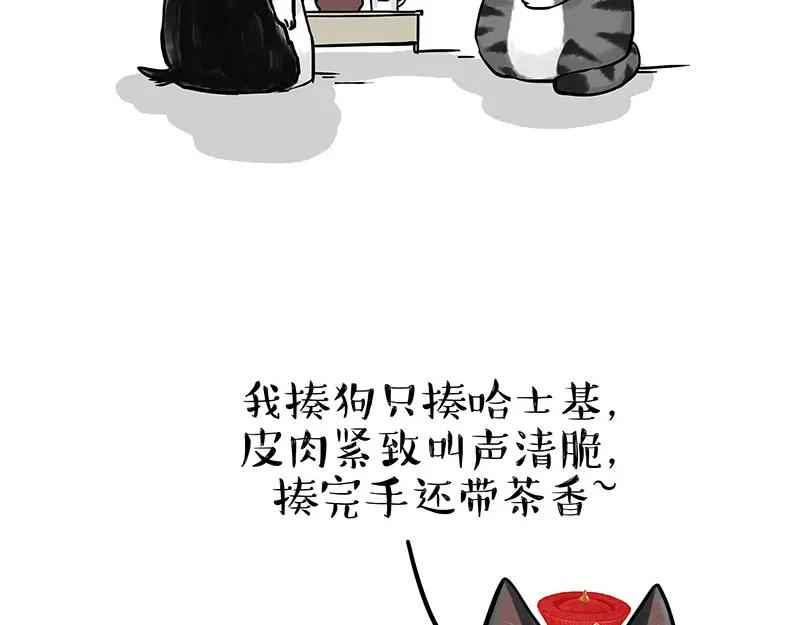 62.jpg