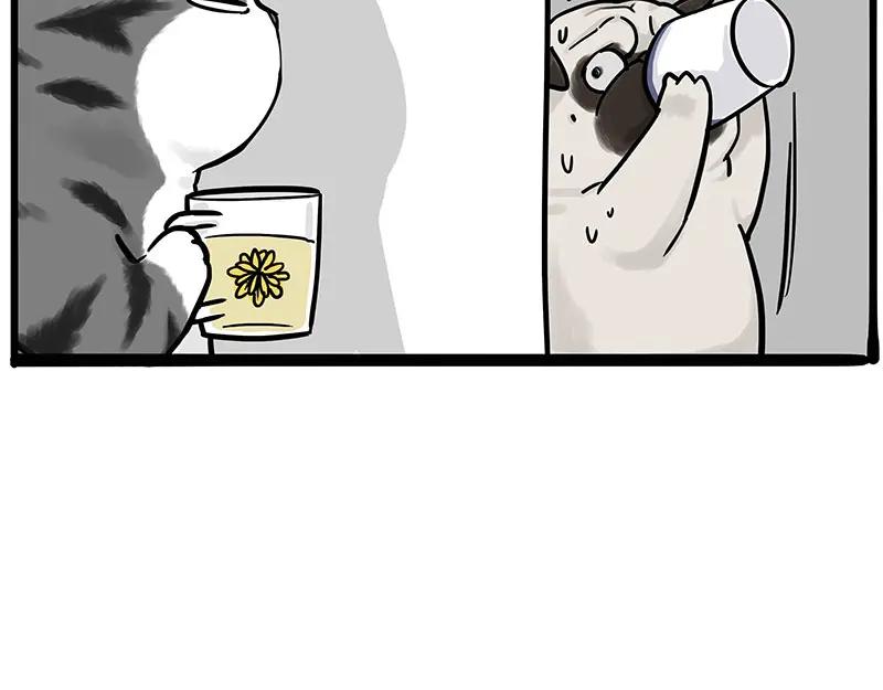 66.jpg
