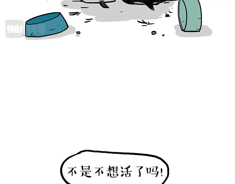 53.jpg