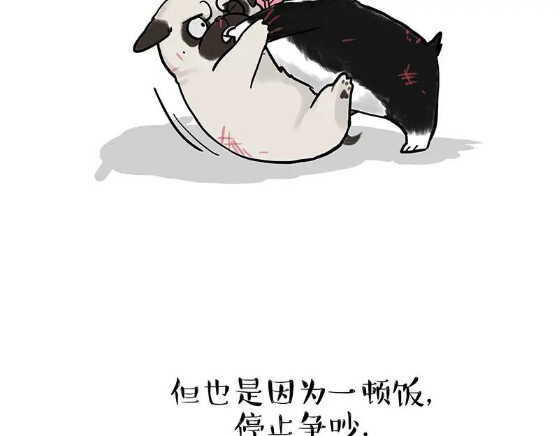 51.jpg