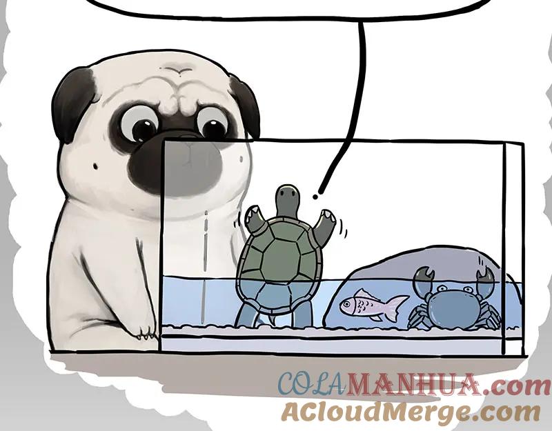 81.jpg