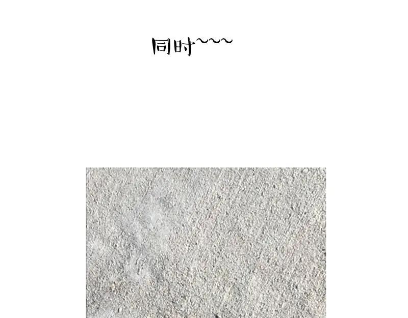 103.jpg