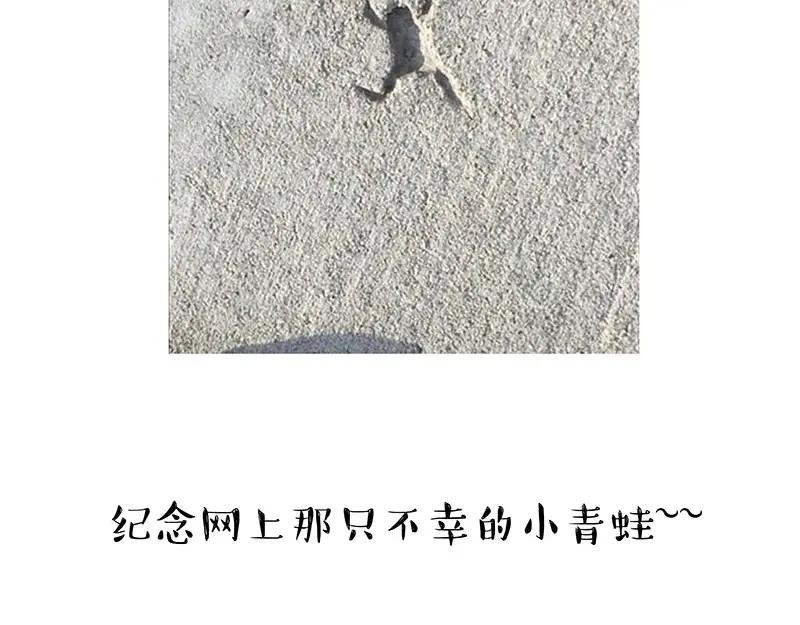 104.jpg