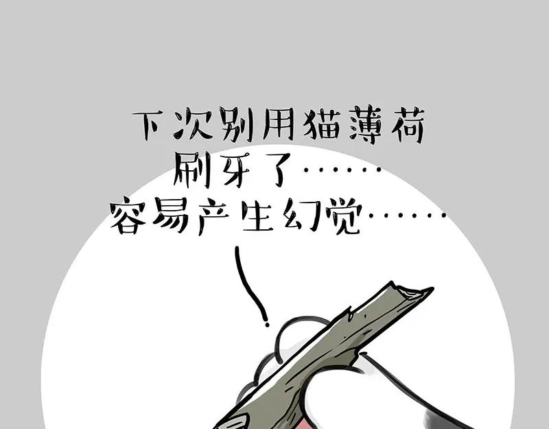 84.jpg