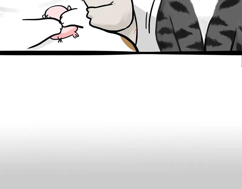 83.jpg