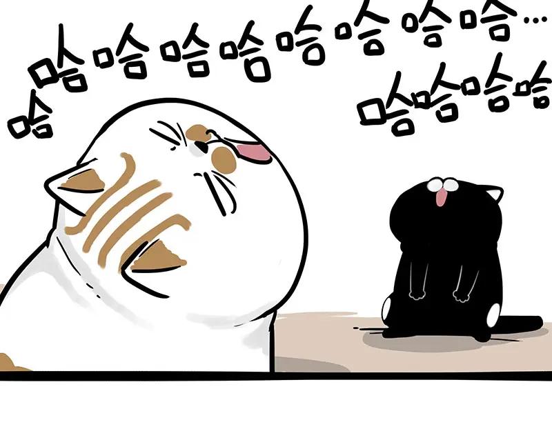 44.jpg