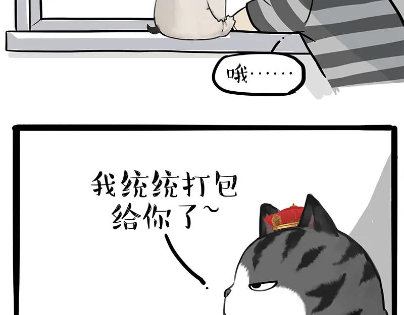 53.jpg