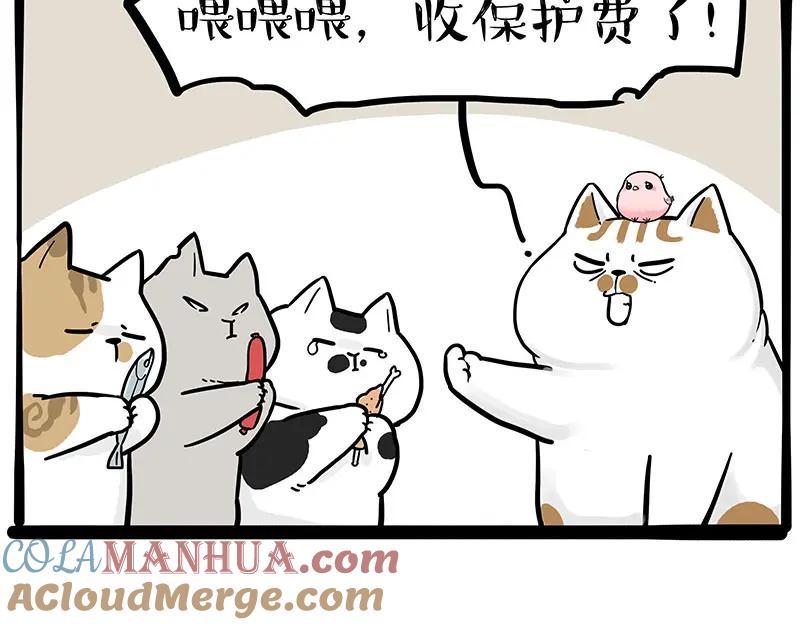 19.jpg