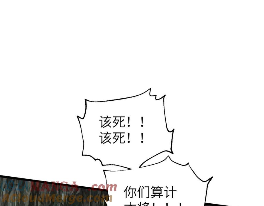 73.jpg