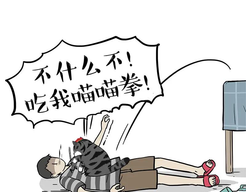 51.jpg