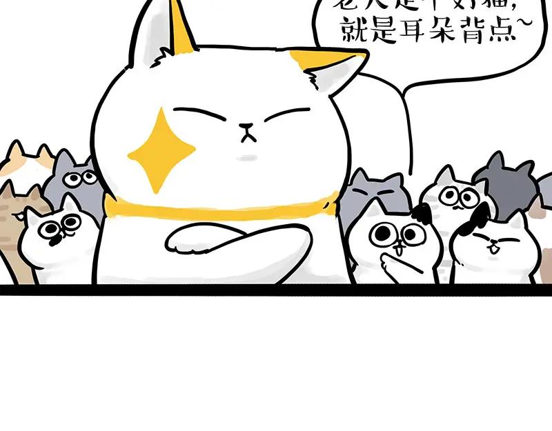 53.jpg
