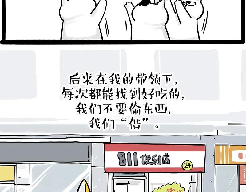 51.jpg