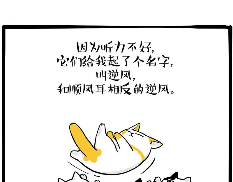 50.jpg