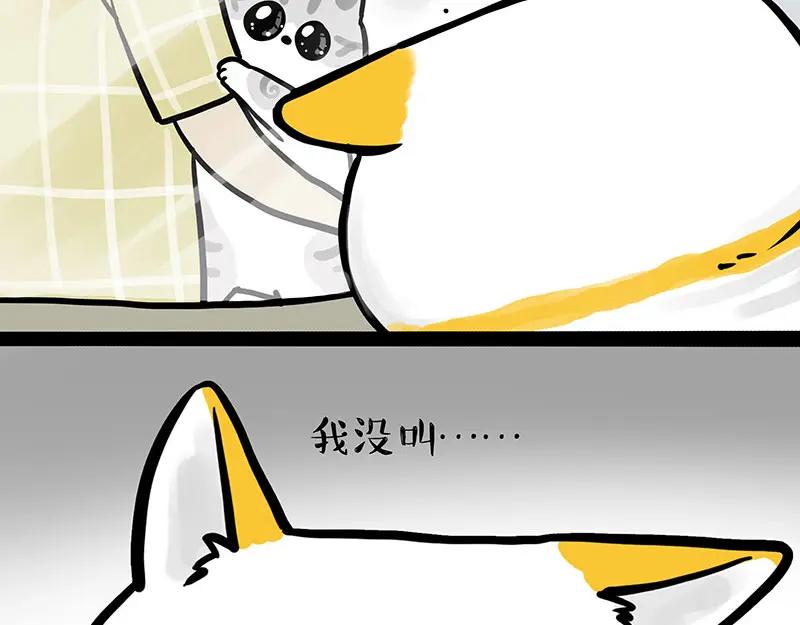 68.jpg