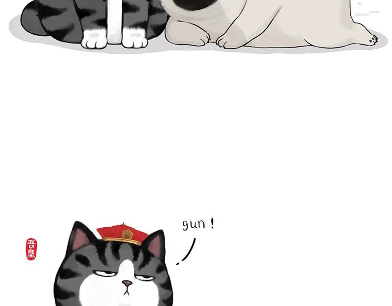 48.jpg