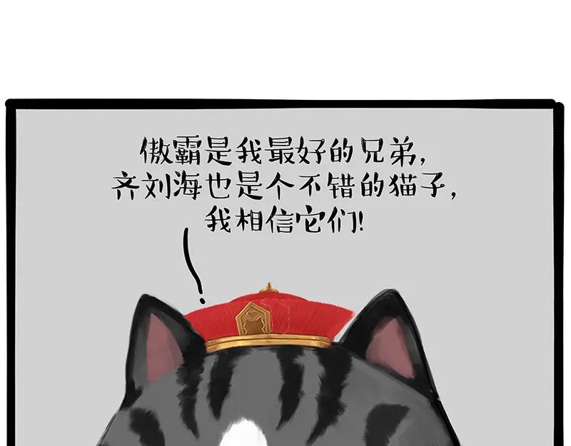 17.jpg