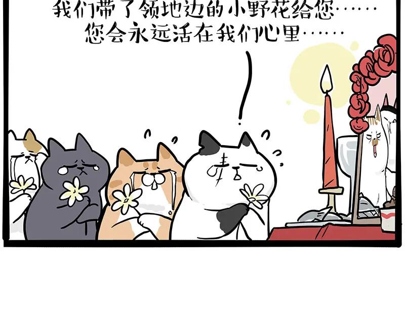 42.jpg
