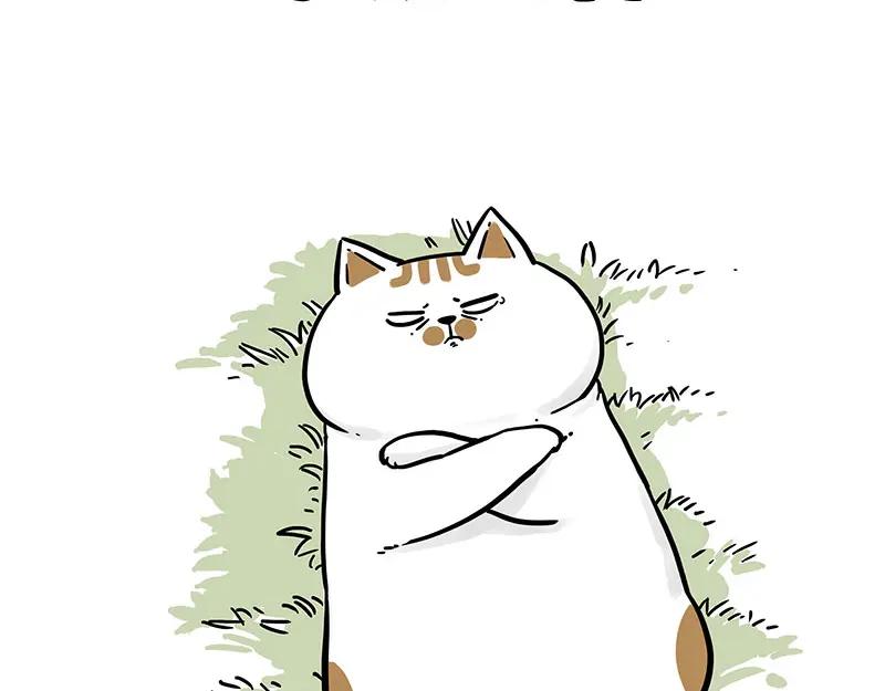 68.jpg