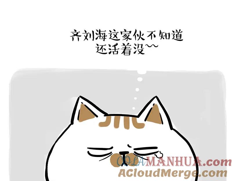 73.jpg