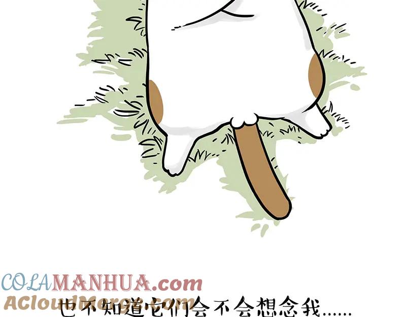 67.jpg