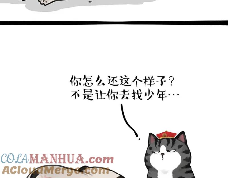 43.jpg