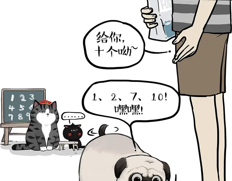 45.jpg