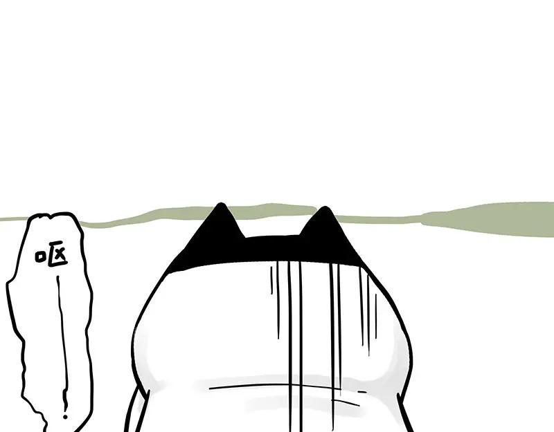 62.jpg