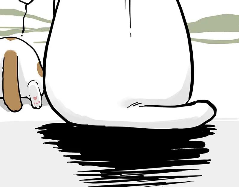 63.jpg
