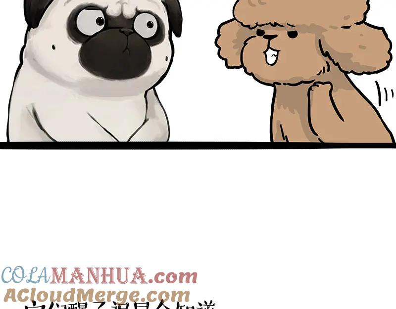 81.jpg