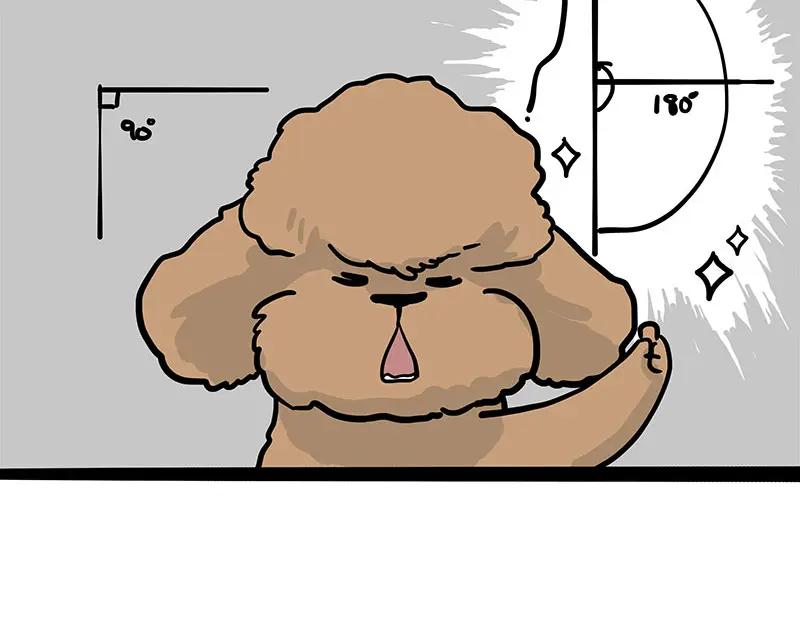 50.jpg