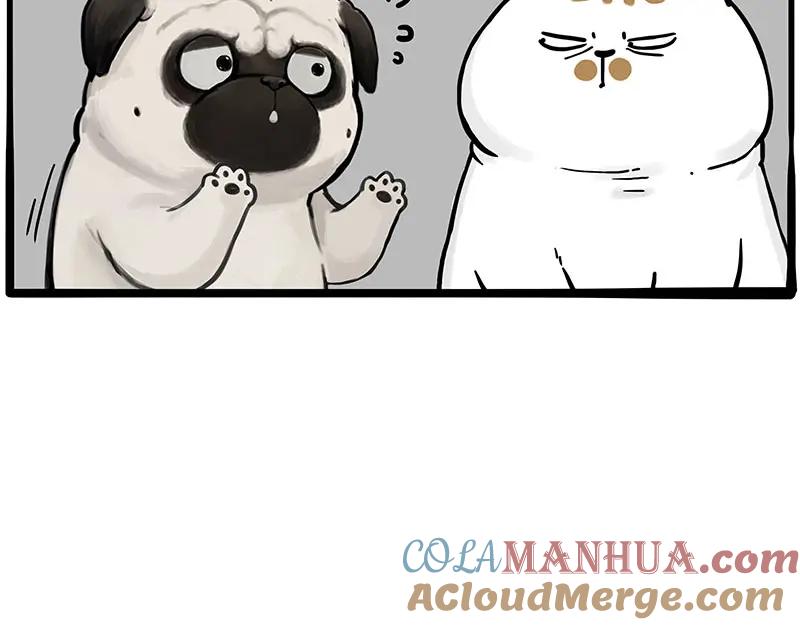 90.jpg