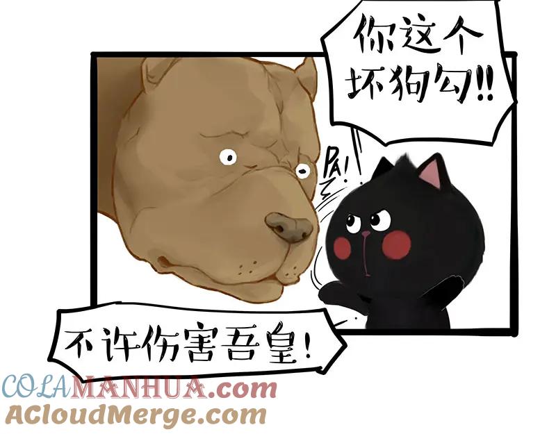 32.jpg