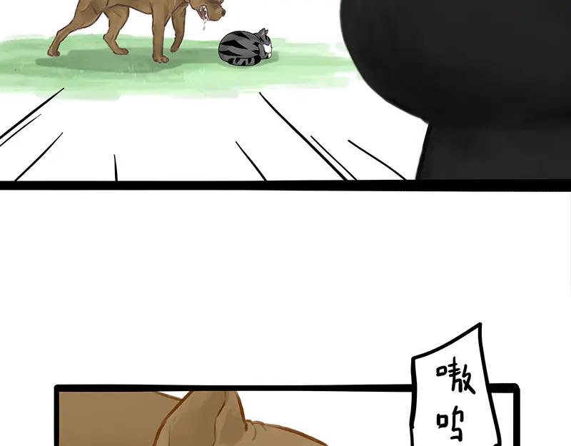 29.jpg