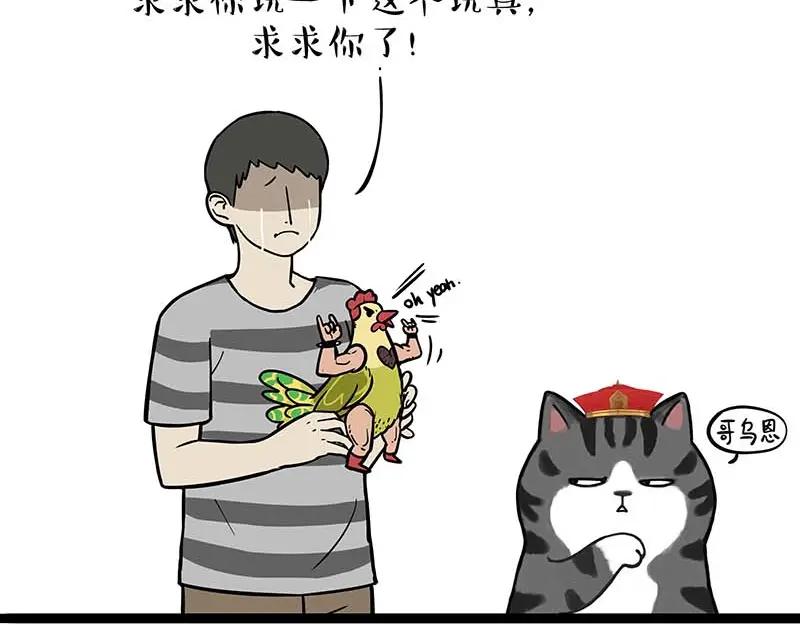 16.jpg