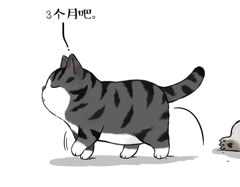 48.jpg