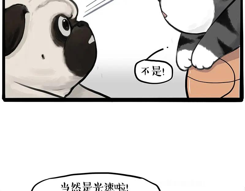 56.jpg