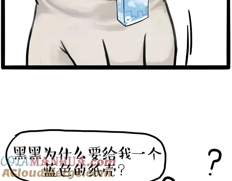 37.jpg