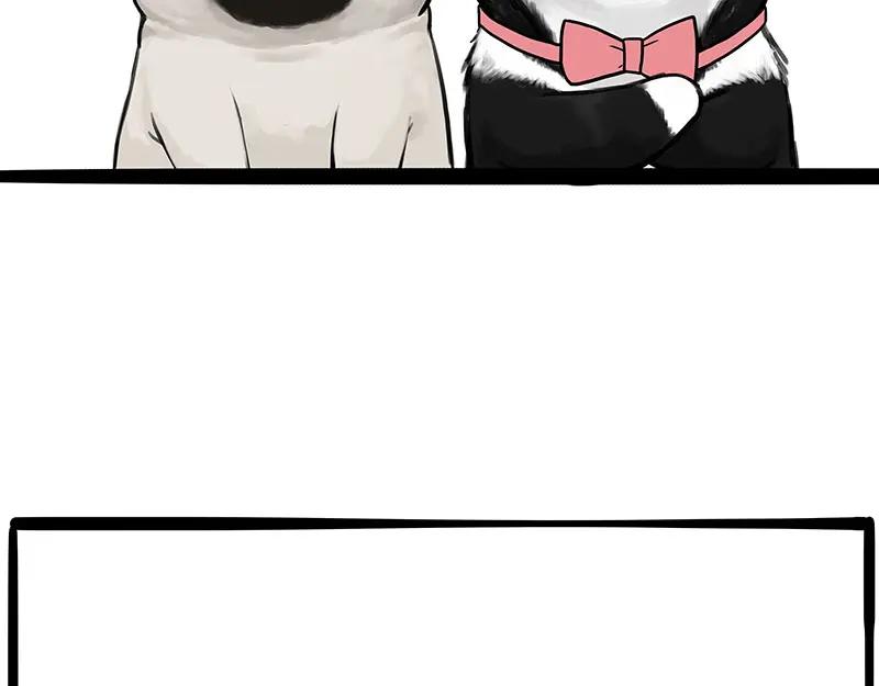 81.jpg