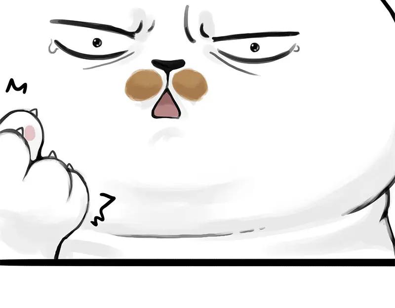 84.jpg