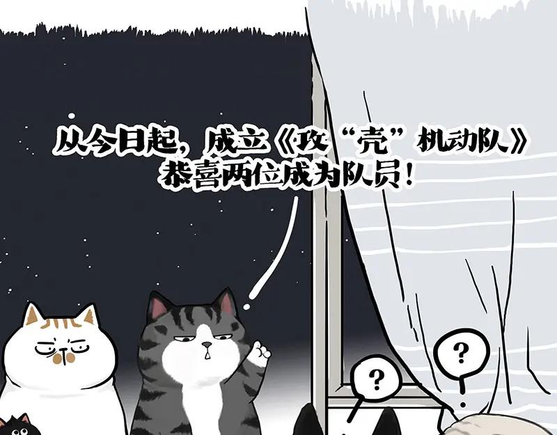 77.jpg