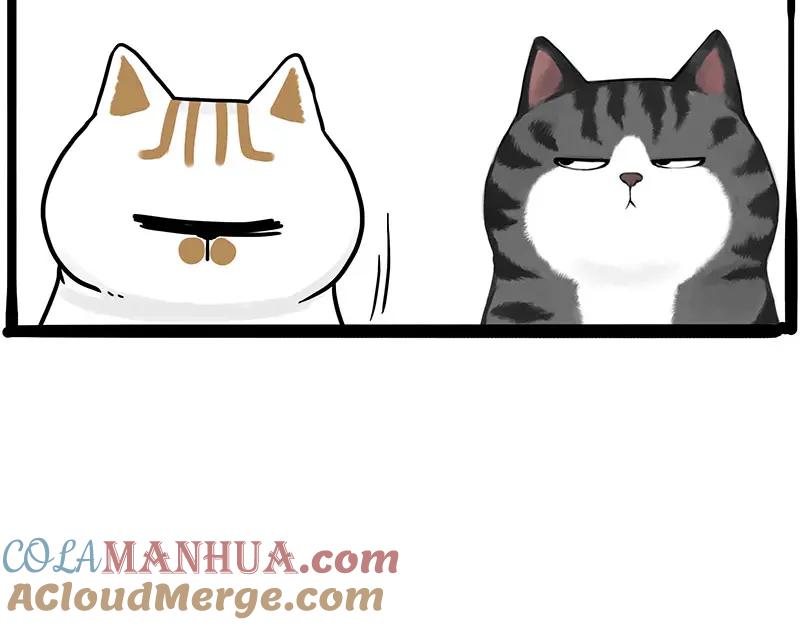 82.jpg
