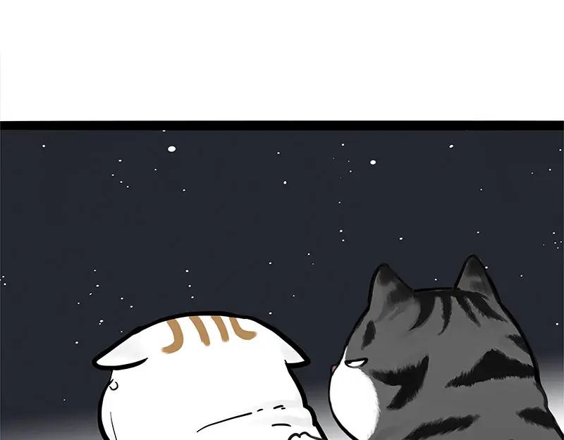 62.jpg