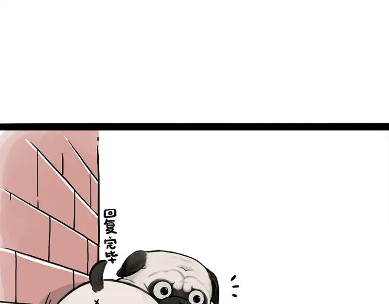 104.jpg