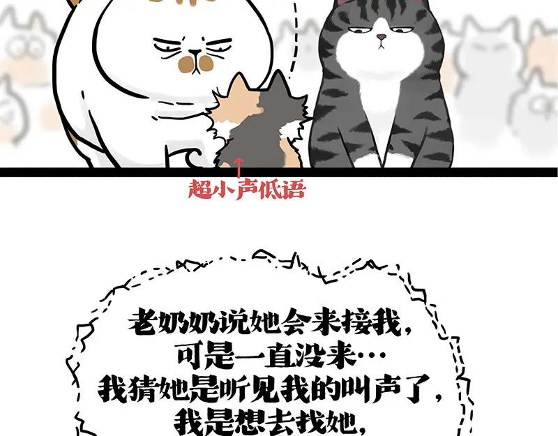 67.jpg