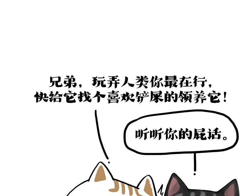 72.jpg