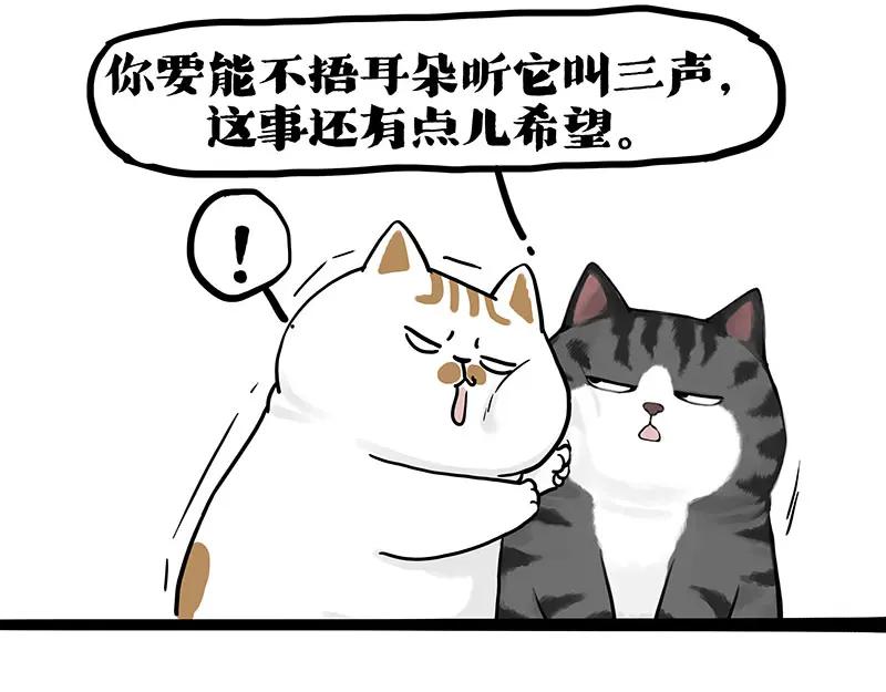 74.jpg