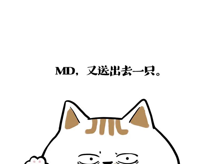 142.jpg