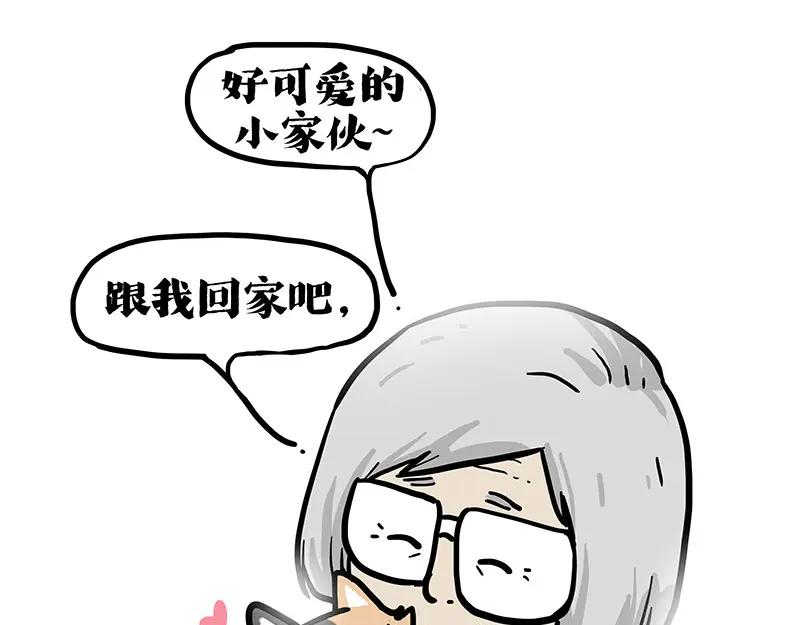 135.jpg